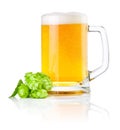 Mug beer with Green hops on white Royalty Free Stock Photo