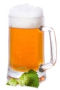 Mug with beer and hop Royalty Free Stock Photo