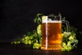 Mug of beer with hop cones on dark wooden background. October fest background Royalty Free Stock Photo