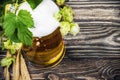 Mug with Beer with hop on a wooden table Royalty Free Stock Photo
