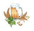 Mug with beer hops and wheat watercolor Royalty Free Stock Photo