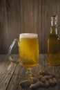 Mug of beer,peanuts Royalty Free Stock Photo