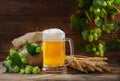 mug of beer, wheat ears and green hops wooden background Royalty Free Stock Photo