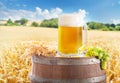 Mug of beer with wheat ears and green hops on the wooden barrel on wheat field background Royalty Free Stock Photo