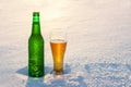 Mug and bottle of cold beer in the snow at sunset. Beautiful winter background. Outdoor recreation.