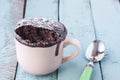 Mug chocolate cake Royalty Free Stock Photo