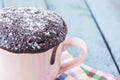 Mug chocolate cake Royalty Free Stock Photo