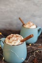 Mug of coffee, cocoa or hot chocolate with whipped cream and cinnamon on scarf with leaves, garland, anise star. Pumpkin Royalty Free Stock Photo