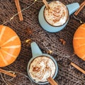 Mug of coffee, cocoa or hot chocolate with whipped cream and cinnamon on scarf with pumpkin, leaves, garland, anise star Royalty Free Stock Photo