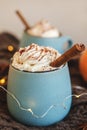 Mug of coffee, cocoa or hot chocolate with whipped cream and cinnamon on scarf with pumpkin, leaves, garland, anise star Royalty Free Stock Photo