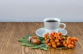 Mug of coffee, a few acorns, branch of mountain ash and oak leav