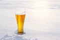 Mug of cold beer in the snow at sunset. Beautiful winter background. Outdoor recreation.