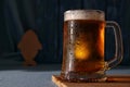 Mug of cold light beer Royalty Free Stock Photo