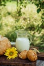 Mug with farm milk, homemade wheat bread, freshly buns, sunflower, baked goods on brown wooden table Royalty Free Stock Photo