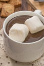 Mug filled with homemade hot chocolate and marshmallow, cookies Royalty Free Stock Photo