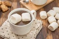 Mug filled with homemade hot chocolate and marshmallow, cookies Royalty Free Stock Photo