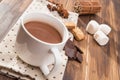 Mug filled with homemade hot chocolate, marshmallow with spice Royalty Free Stock Photo