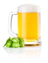 Mug fresh beer with Green hops isolated on white background Royalty Free Stock Photo