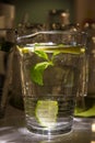 A mug of fresh water with lemon Royalty Free Stock Photo