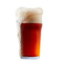 Mug of frosty dark red beer with foam Royalty Free Stock Photo
