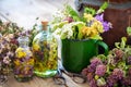 Mug of healing herbs, tea kettle and bottles of tincture.