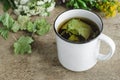 A mug of herbal tea (infusion) with dried black currant leaves Royalty Free Stock Photo