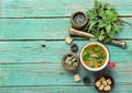 Mug of herbal tea with melissa Royalty Free Stock Photo