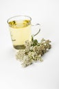 Mug with herbal tea on white Royalty Free Stock Photo