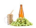 Mug with hop and bottle of beer. Royalty Free Stock Photo
