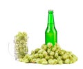 Mug with hop and bottle of beer. Royalty Free Stock Photo