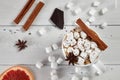 Mug of hot coffee with marshmallows sprinkled with chocolate, anise, cinnamon and a slice of dried grapefruit