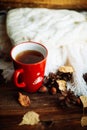 Mug of hot coffee in a woman's hand in a sweater in the autumn setting on a wooden table with a knitted scarf, sweater. Comfort, Royalty Free Stock Photo