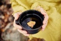 Mug of hot tea in woman hand is autumn in a forest in Golden yellow foliage. Autumn came, magical mood. Yellow leaves floating