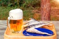 Mug of light beer and dried fish on a wooden table in a summer day outdoors - photo, image