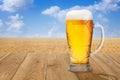 Mug of beer against wheat field Royalty Free Stock Photo