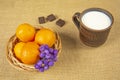 A mug with milk and a vase with tangerines and purple berries and three pieces of chocolate on a table covered with burlap.
