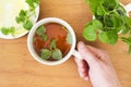 Mug of Mint tea with Melissa and lemon in hand Royalty Free Stock Photo