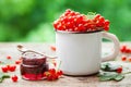 Mug of Red currant berries and jar of redcurrant jam Royalty Free Stock Photo