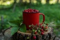 Mug, tasty wild strawberries and green leaves on stump against blurred background