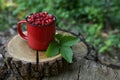 Mug of tasty wild strawberries and leaves on stump against blurred background. Space for text Royalty Free Stock Photo