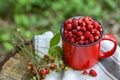 Mug and tasty wild strawberries on stump against blurred background, closeup