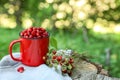 Mug and tasty wild strawberries on stump against blurred background. Space for text Royalty Free Stock Photo