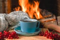 A mug of tea or coffee, woolen thing and viburnum berries before cozy fireplace, in country house, autumn or winter holidays