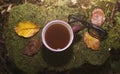 Mug of tea and glasses surrounded by autumn leaves lying in forest on the stump. Flat lay, view from above. Autumn mood, fall, Royalty Free Stock Photo