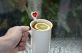 Mug of tea with lemon in hand Royalty Free Stock Photo