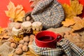 Mug of tea surrounded by scarf red background with fallen maple leaves and walnuts. Fall bucket list concept. Mug cozy