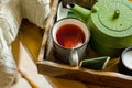 Mug with warm red fruit tea, paper bags, green pot in trey, white knitted sweater hanging over old wooden chair, fall, autumn
