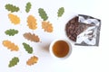 Mug with warm tea and cookies,fallen autumn leaves on white wooden table .Top view. Autumn, cozy composition Royalty Free Stock Photo
