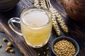 Mug of white kvass close-up Royalty Free Stock Photo