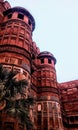 Mughal architecture Agra fort. Agra uttar Pradesh india